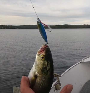 Catch a Feed With Our Jigs