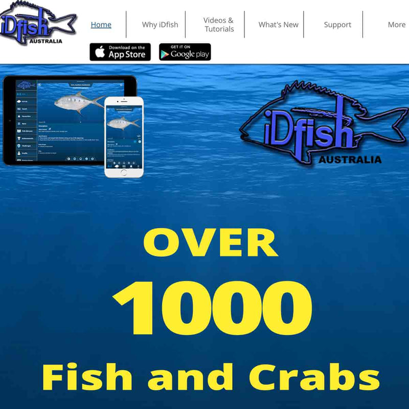 What is the Best Fish ID App? Introducing IDFish — LandCaster Tackle
