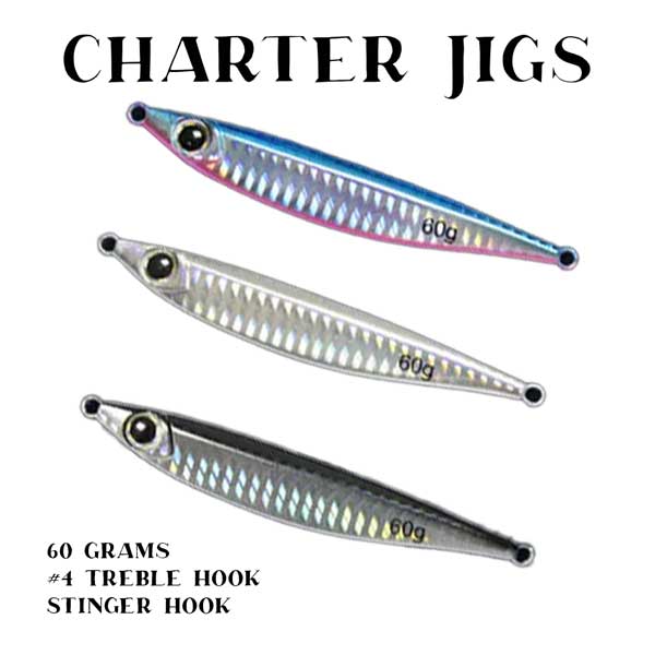 Charter Jigs 60 Gram Holo Pattern With Assist Hook — LandCaster Tackle